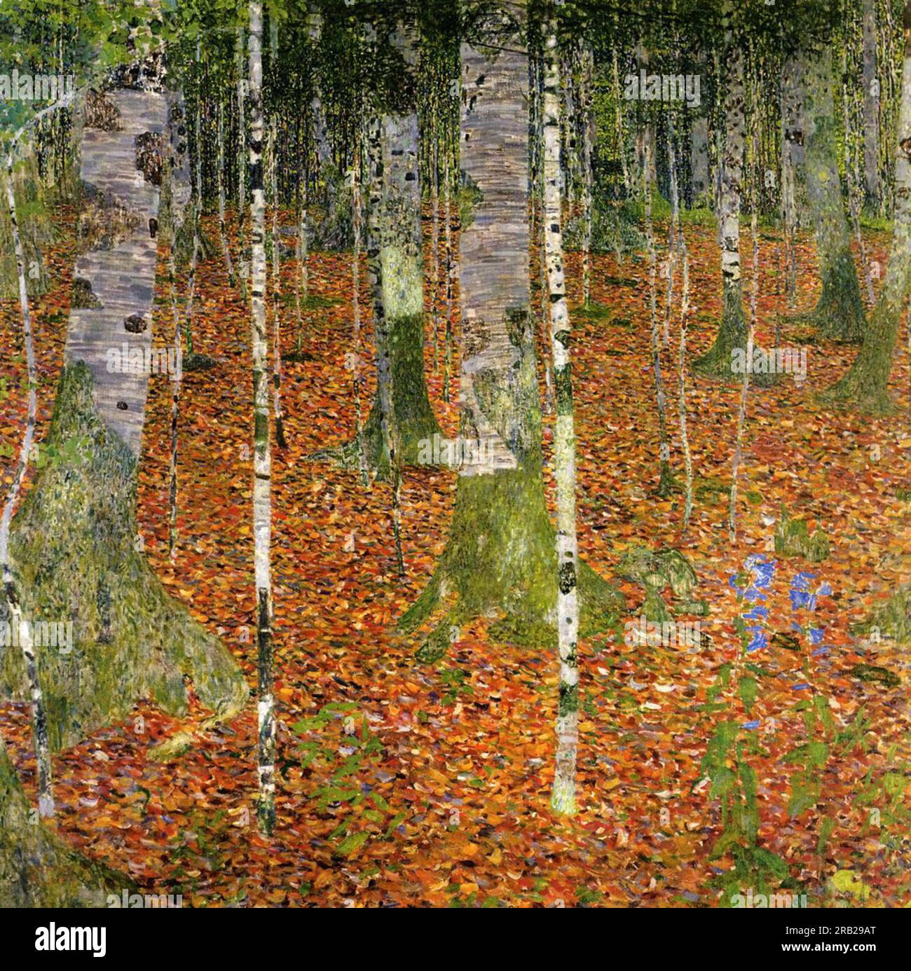 Birch Forest 1903 by Gustav Klimt Stock Photo