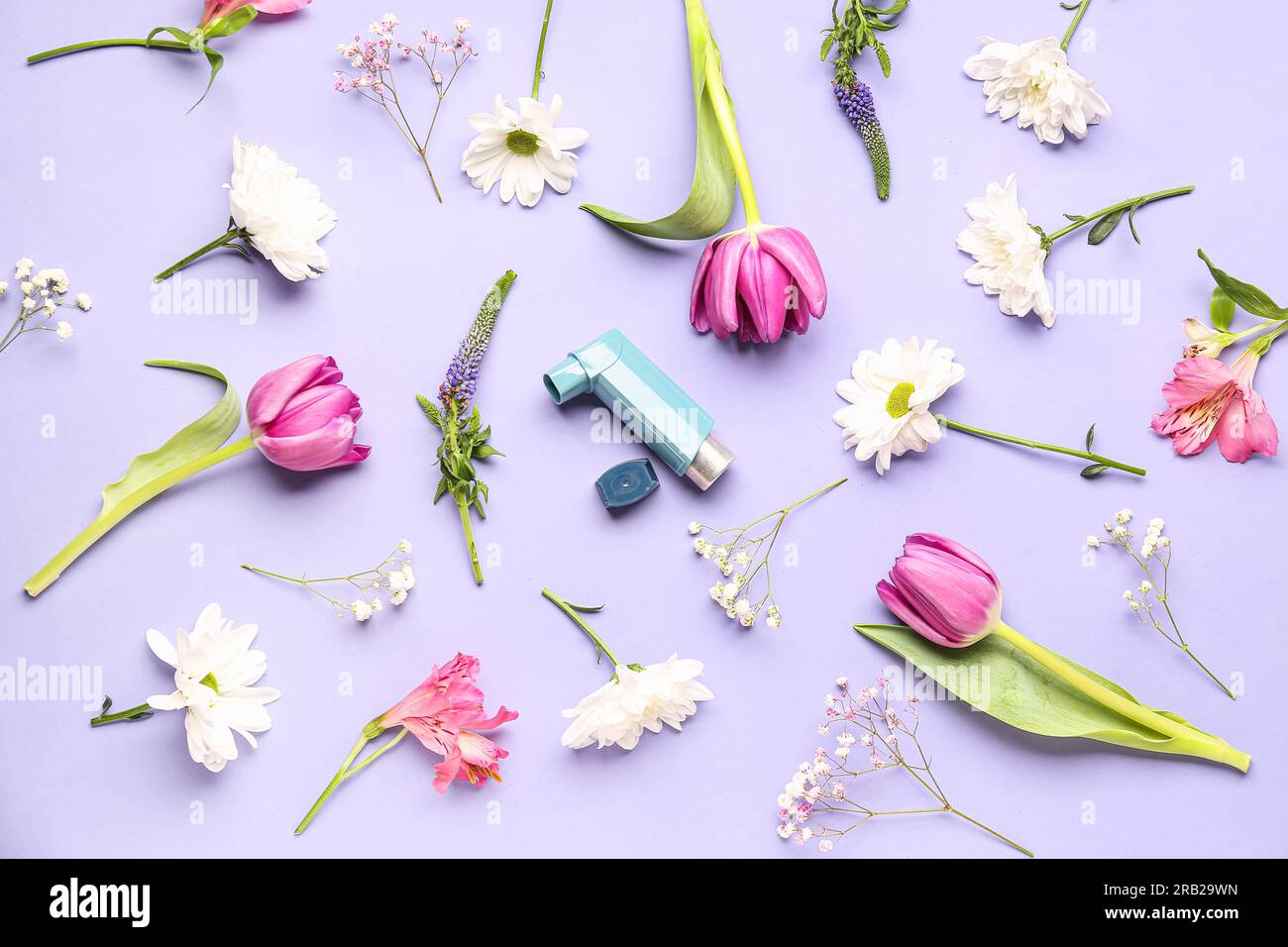 Asthma inhaler with flowers on lilac background Stock Photo Alamy