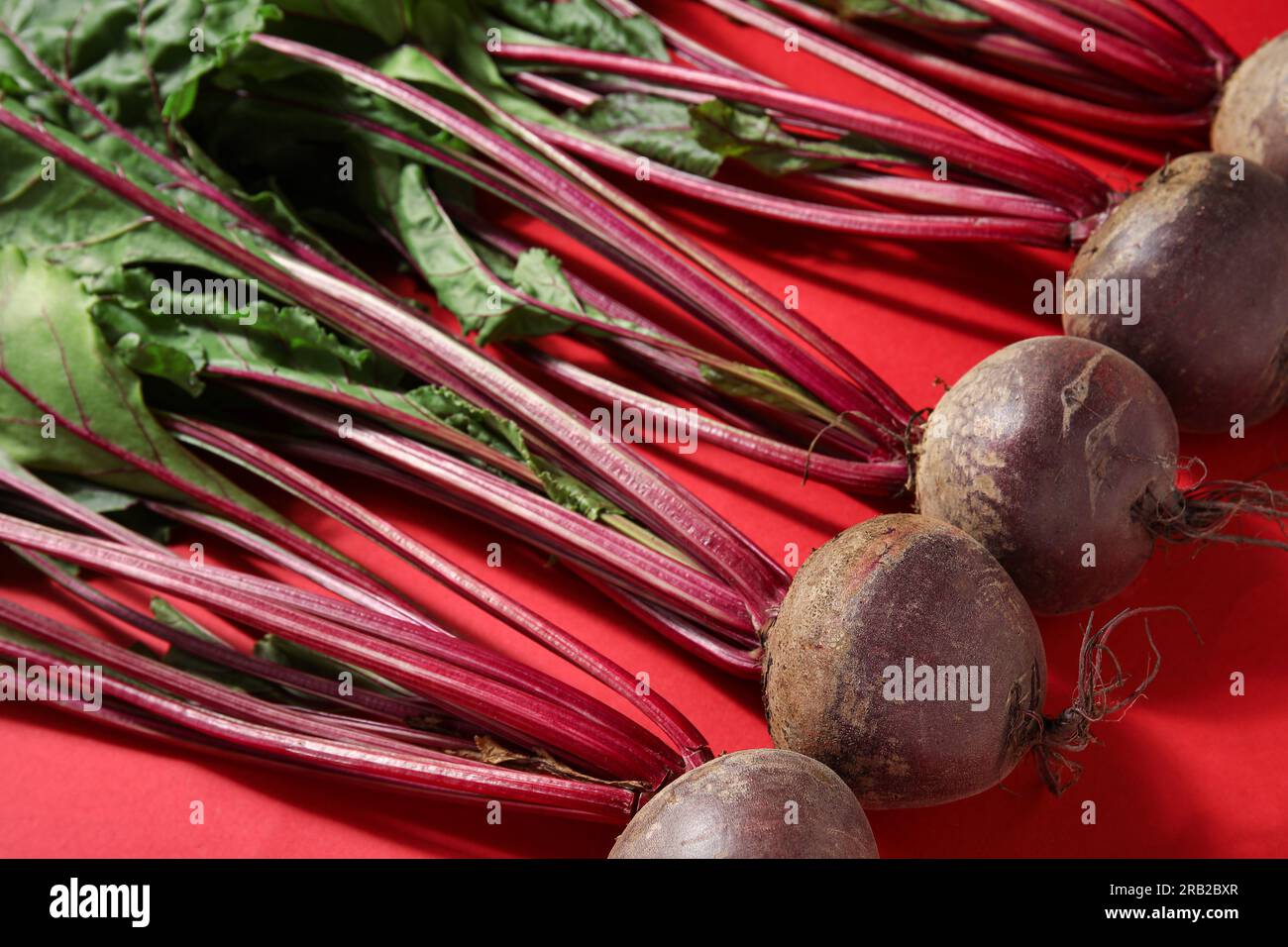 Fresh beetroots with leaves on red background Stock Photo