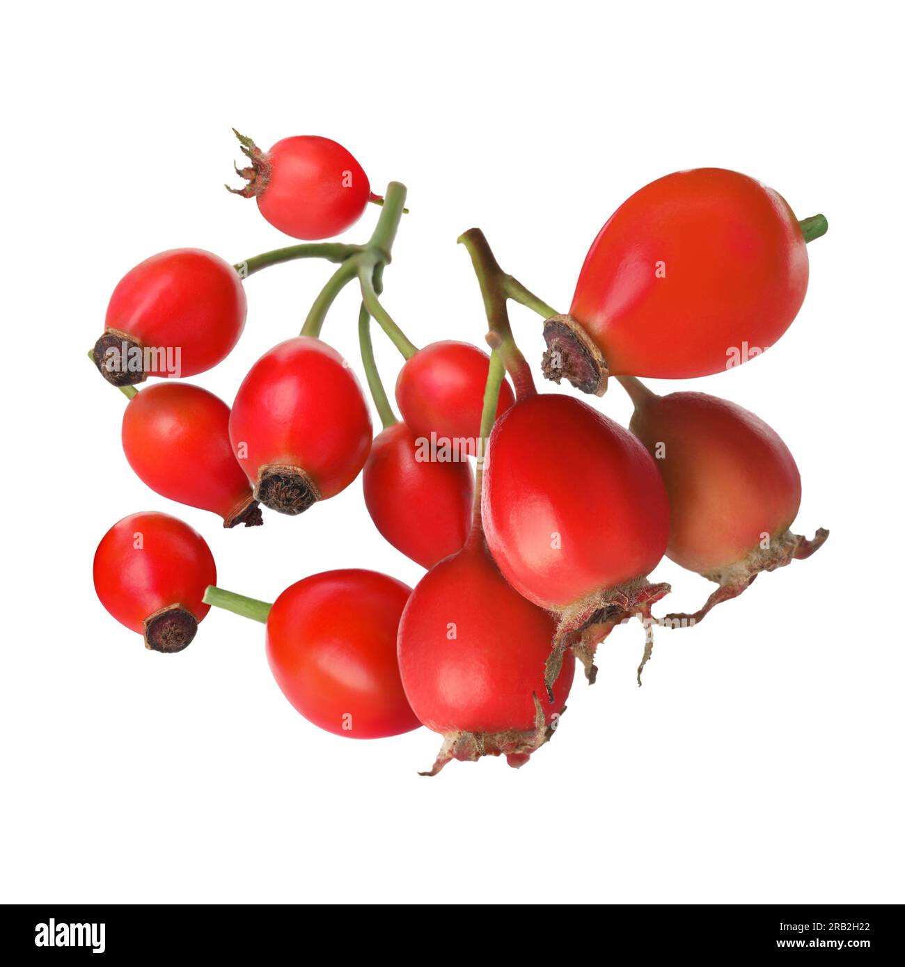Ripe rose hip berries falling on white background Stock Photo - Alamy