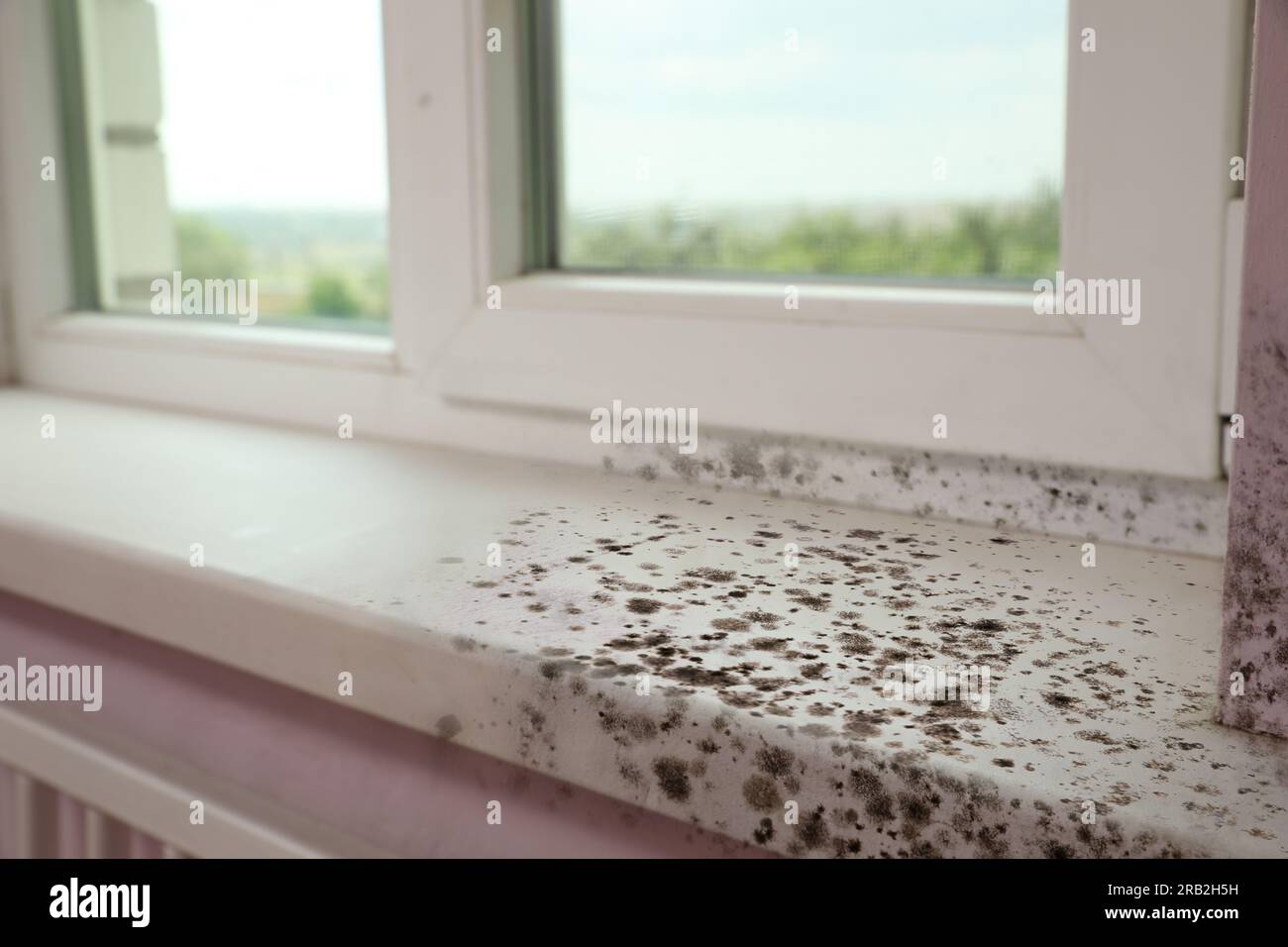 Window, sill and slope affected with mold in room Stock Photo Alamy