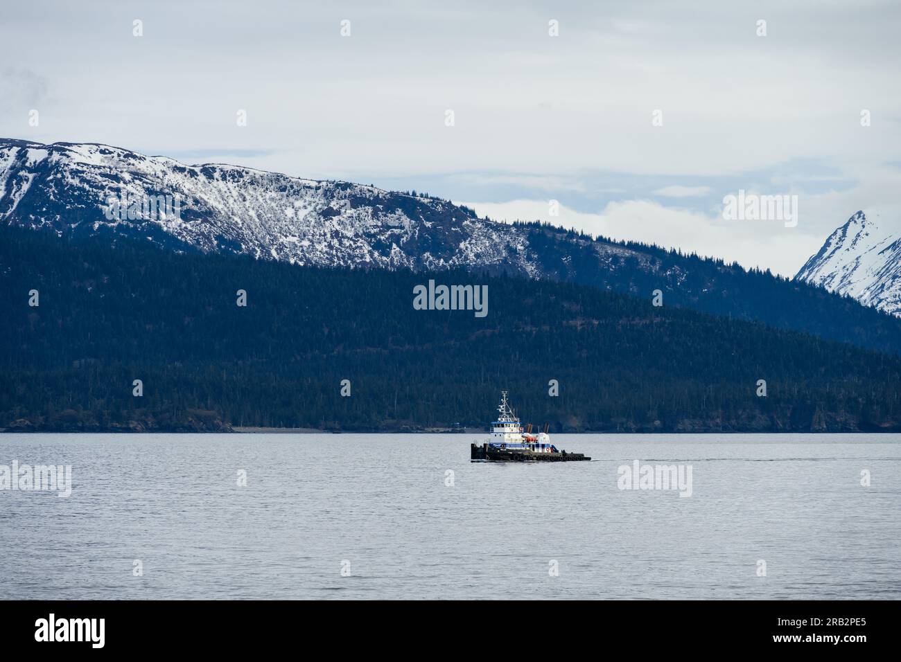 HOMER, AK, USA MAY 29, 2023 Katchemak Bay, tug boat Millie pulling a