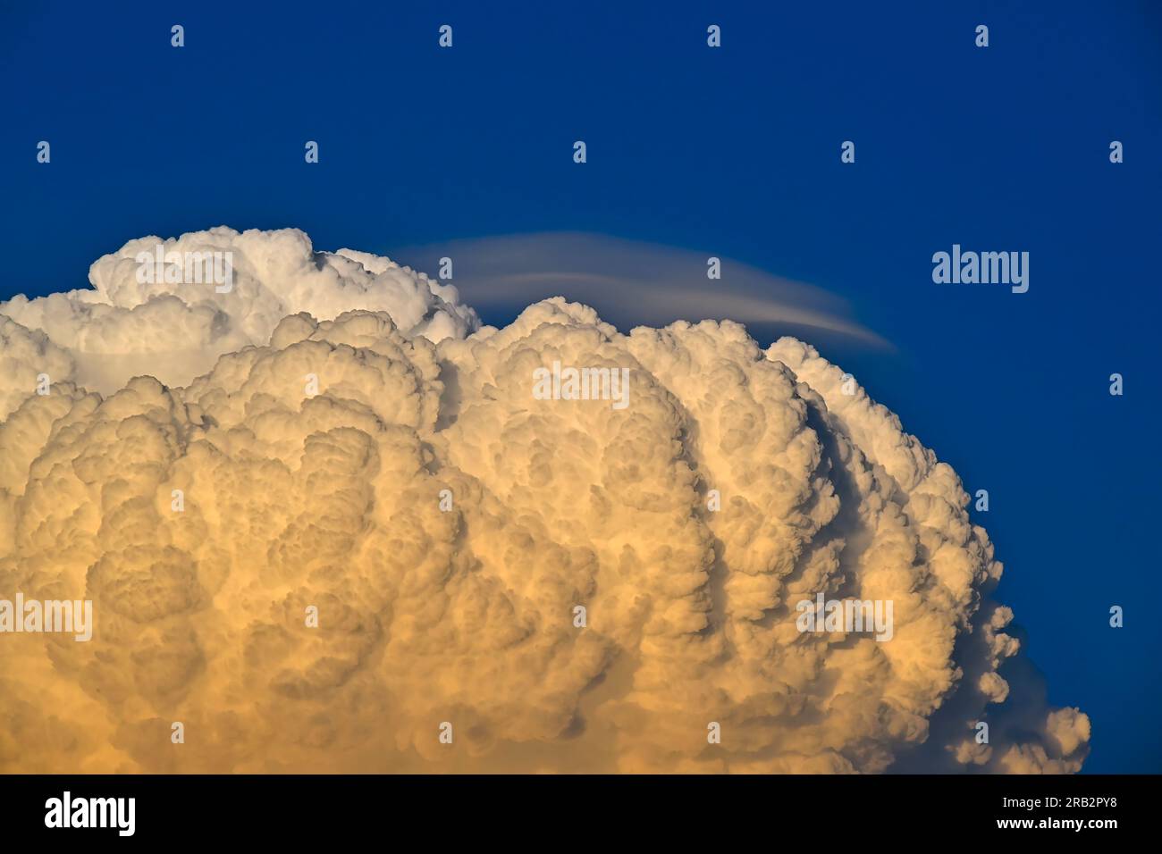A large puffy white thunder cloud in evening light over rural Alberta Canada. Stock Photo