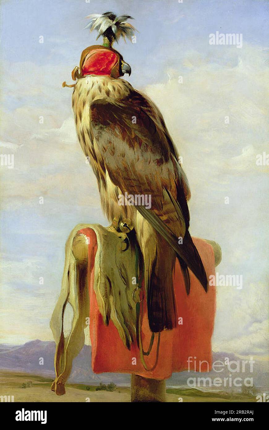Hooded Falcon by Edwin Henry Landseer Stock Photo