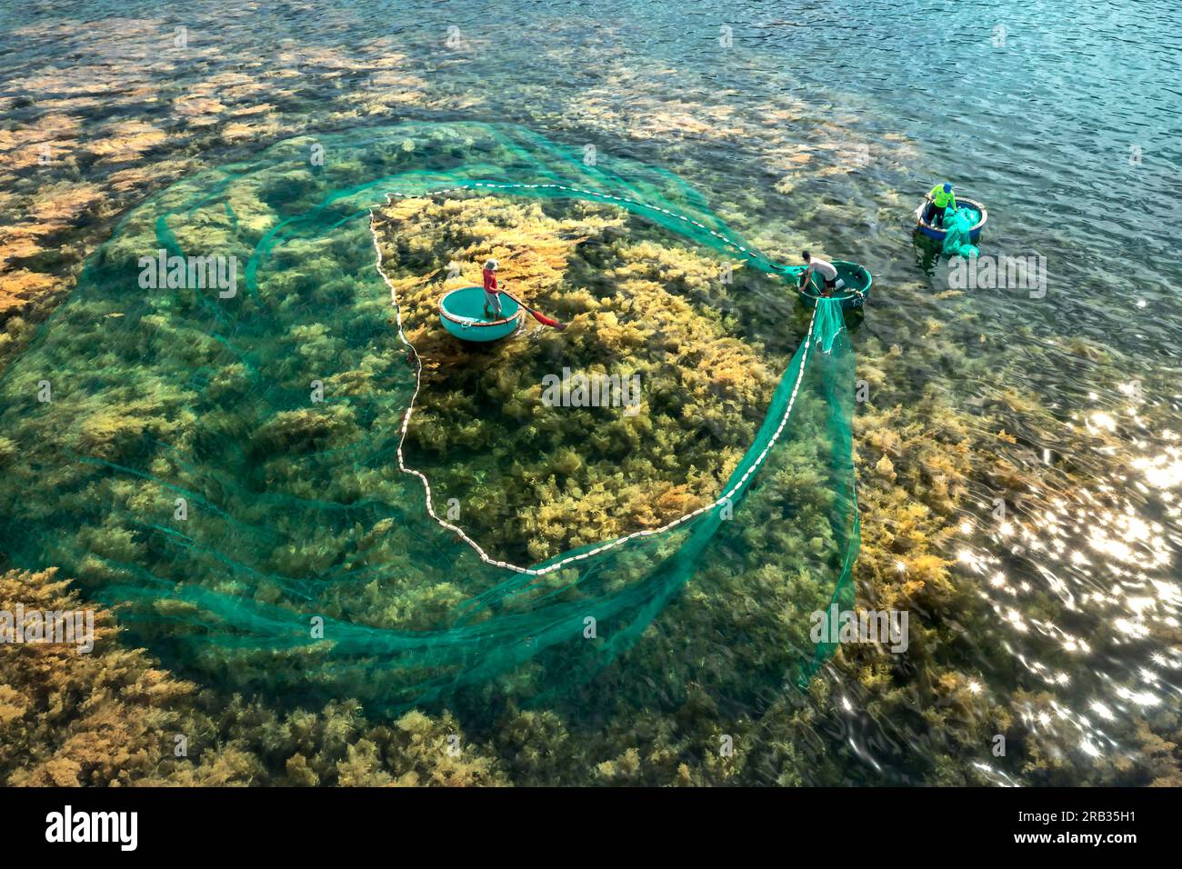 Fishermen cast nets to catch fish in the golden seaweed season in Nhon
