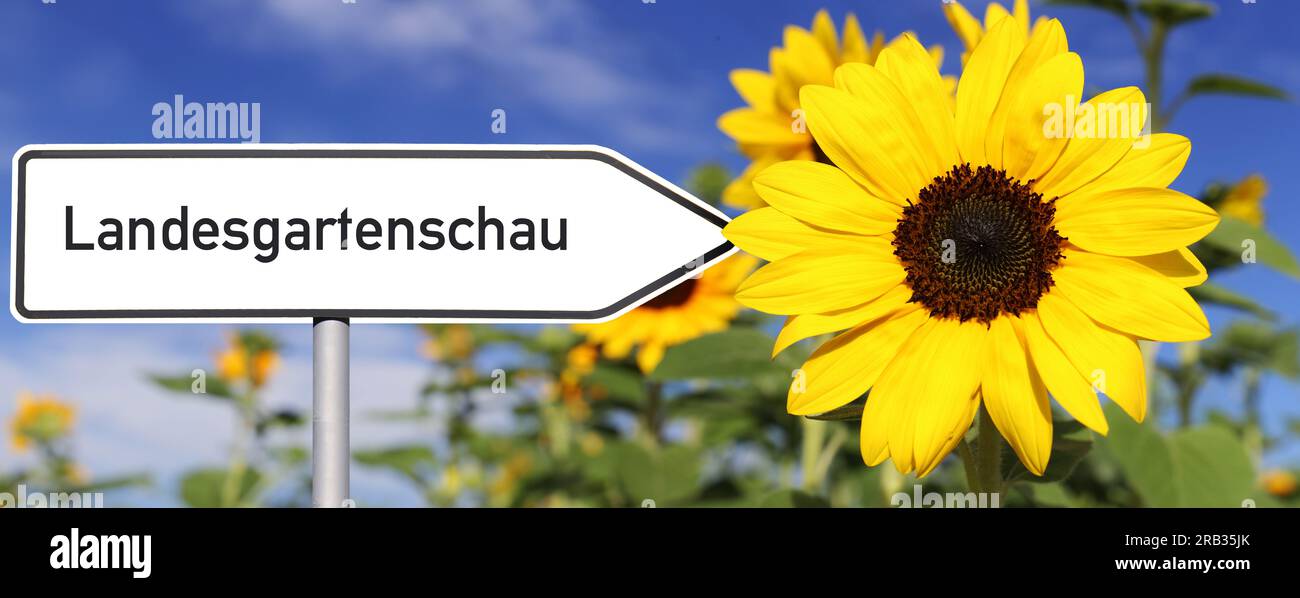 Symbol image Landesgartenschau, Germany (State Horticultural Show): Directional arrow with the inscription Landesgartenschau next to a sunflower (Comp Stock Photo