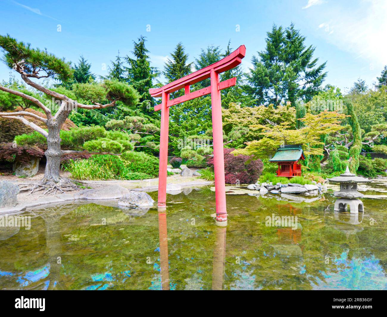 Japanese Pond in Point Defiance Park in Washington Stock Photo