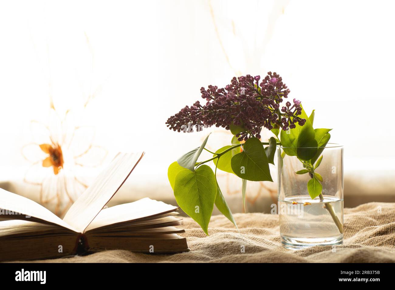 lilacs in a glass of water and an open old book on the table were taken to the windows close-up Stock Photo