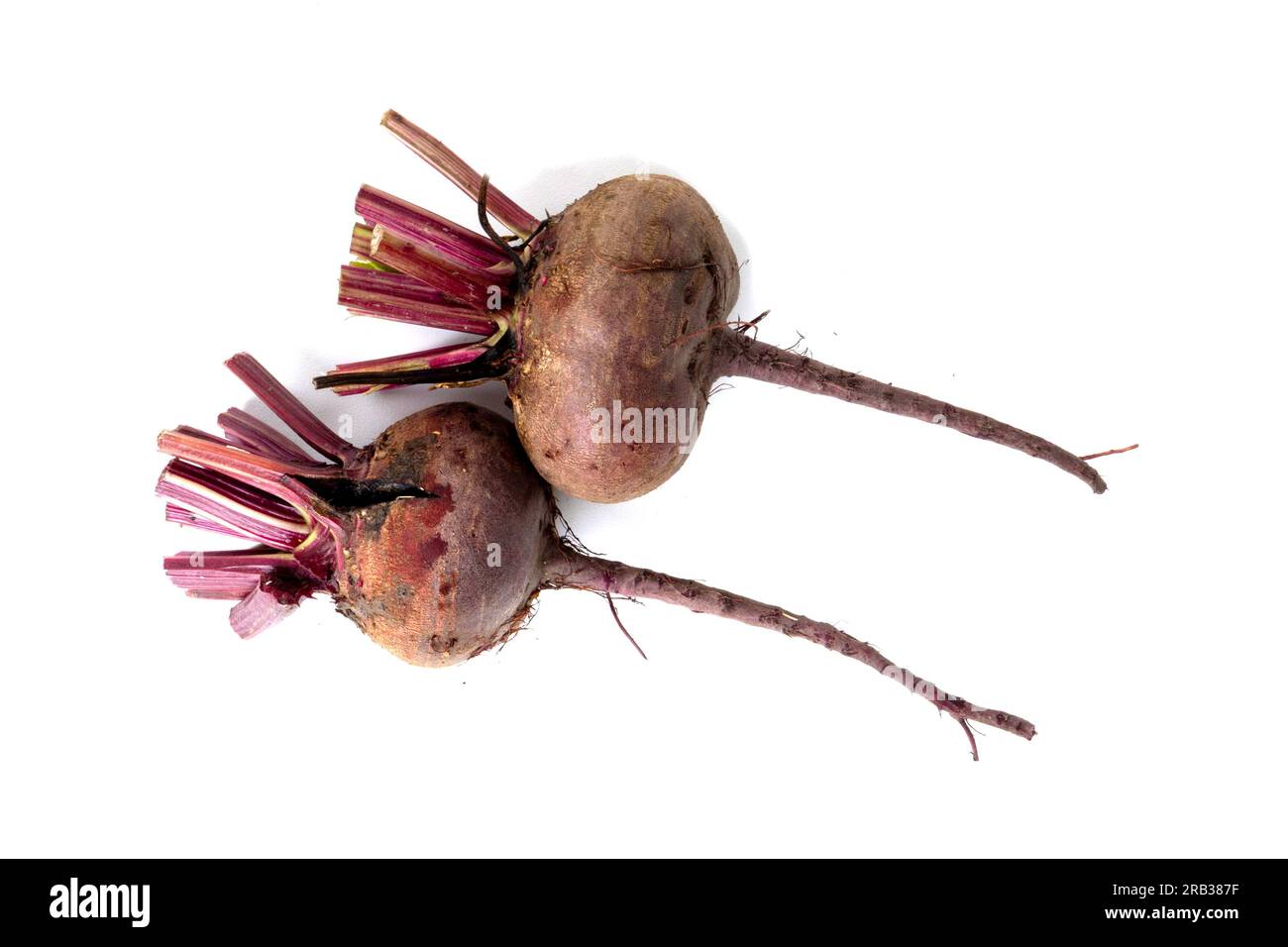 Red beetroot isolated on white. Stock Photo