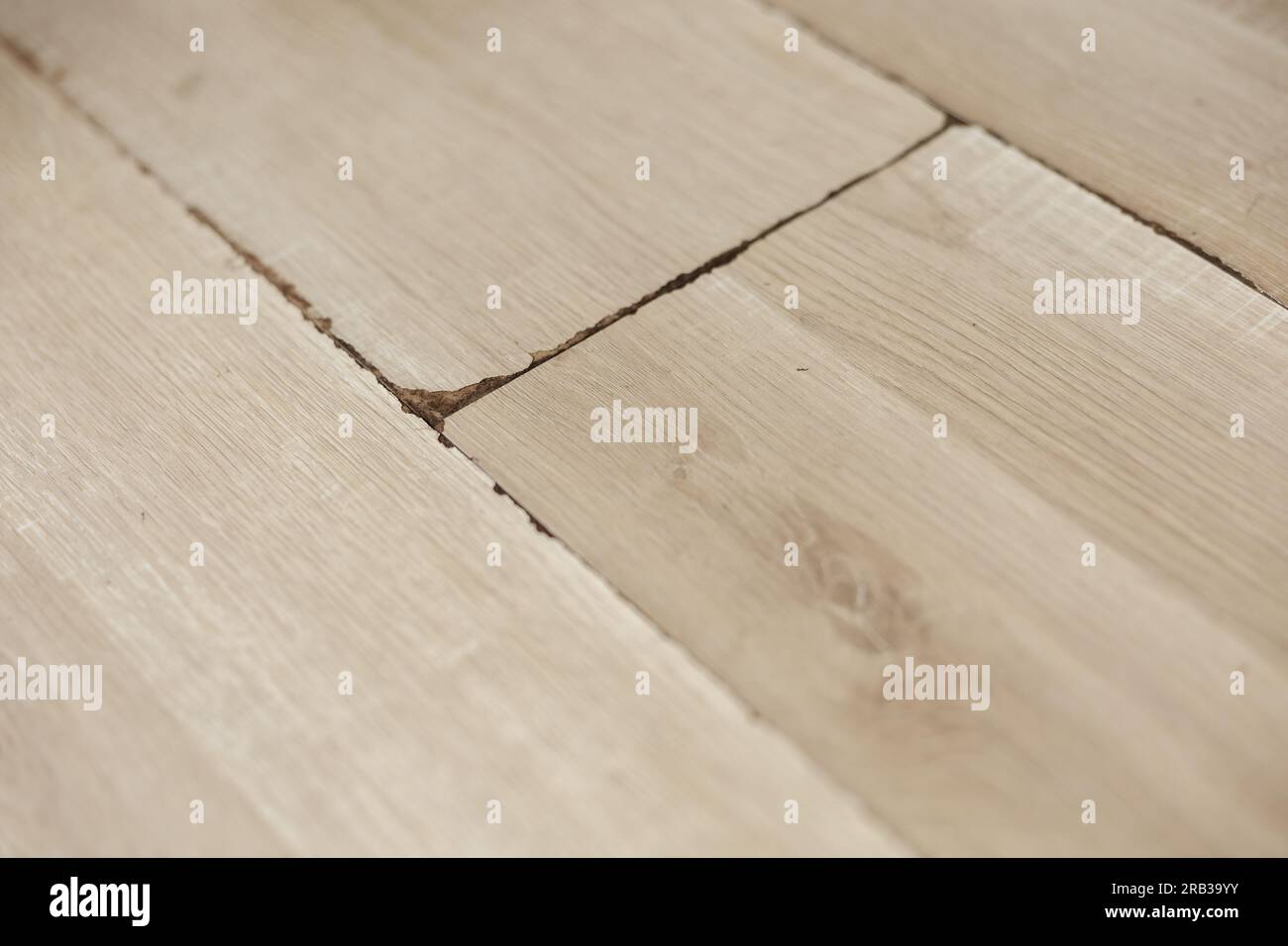 Swollen and dirty laminate floor, close up view. Moisture damage