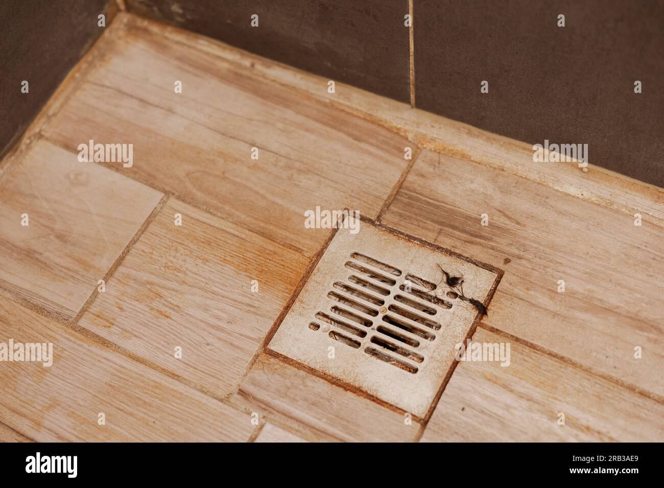 Dirty and disgusting shower drain, close up view. Clogged drain with