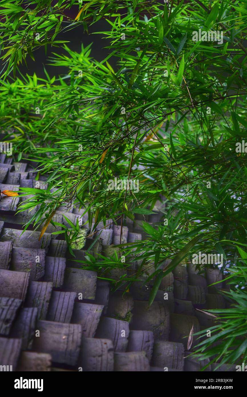 Chinese traditional rooftop hires stock photography and images Alamy