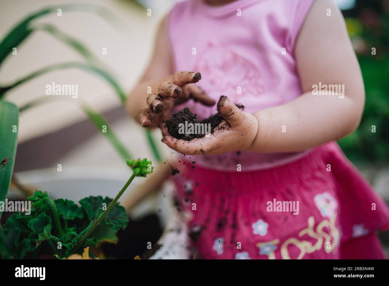 Young girl potting plants at home. Stock Photo
