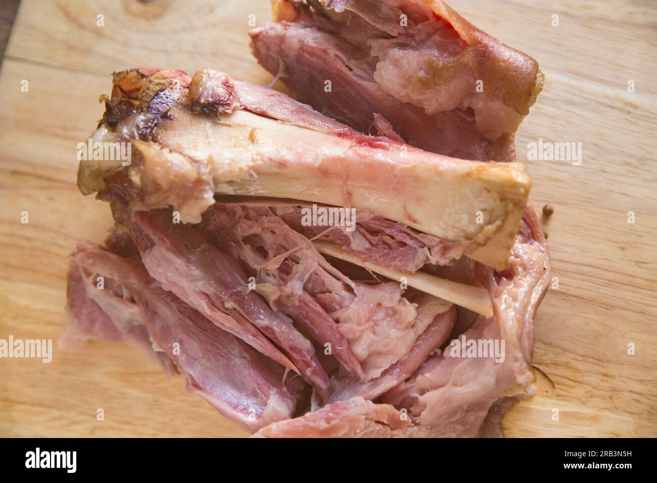 A British gammon shank that has been slow cooked and allowed to cool before making a homemade terrine. England UK GB Stock Photo