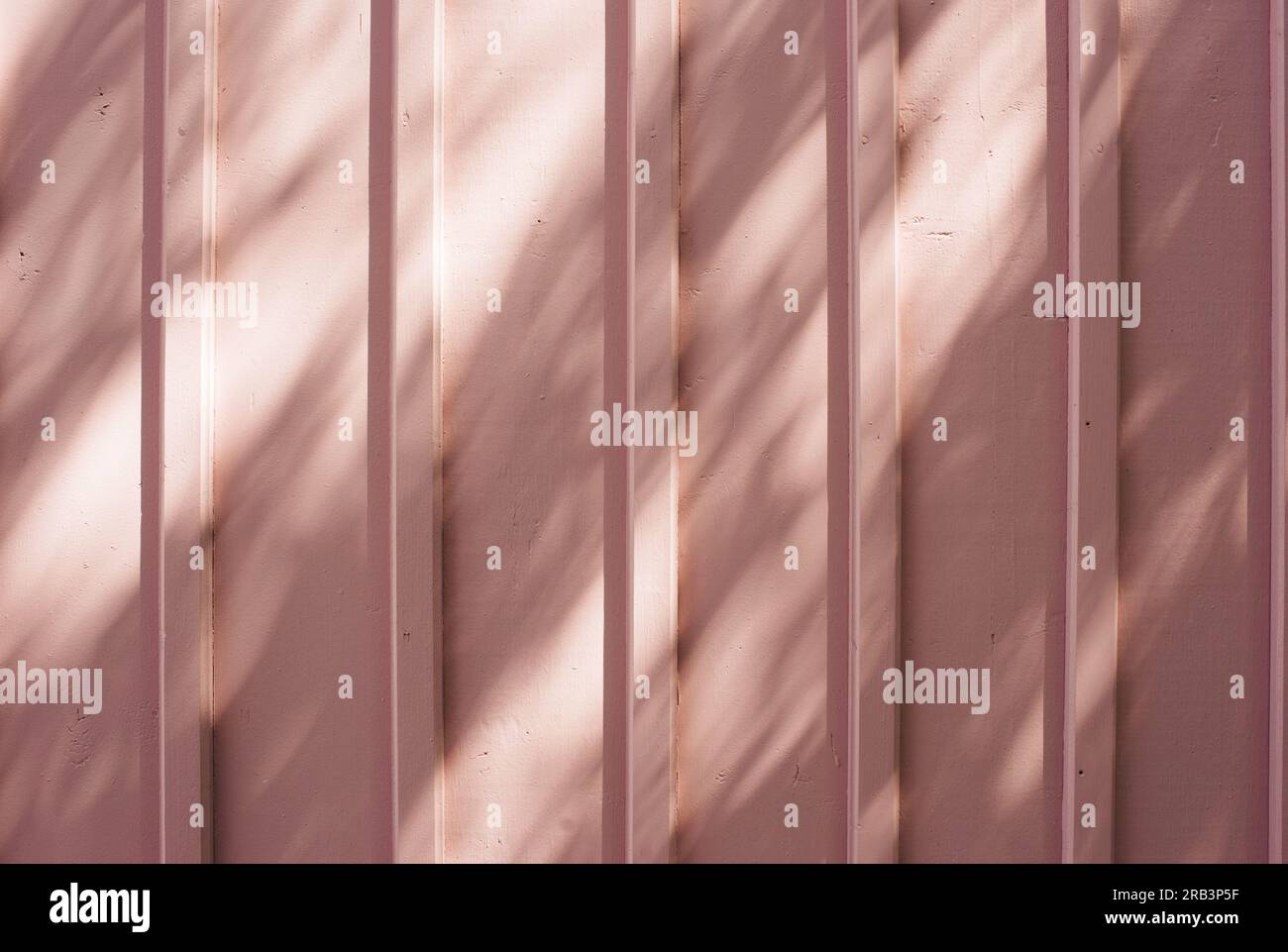 pink painted wooden wall with the reflections and light of a tree Stock Photo