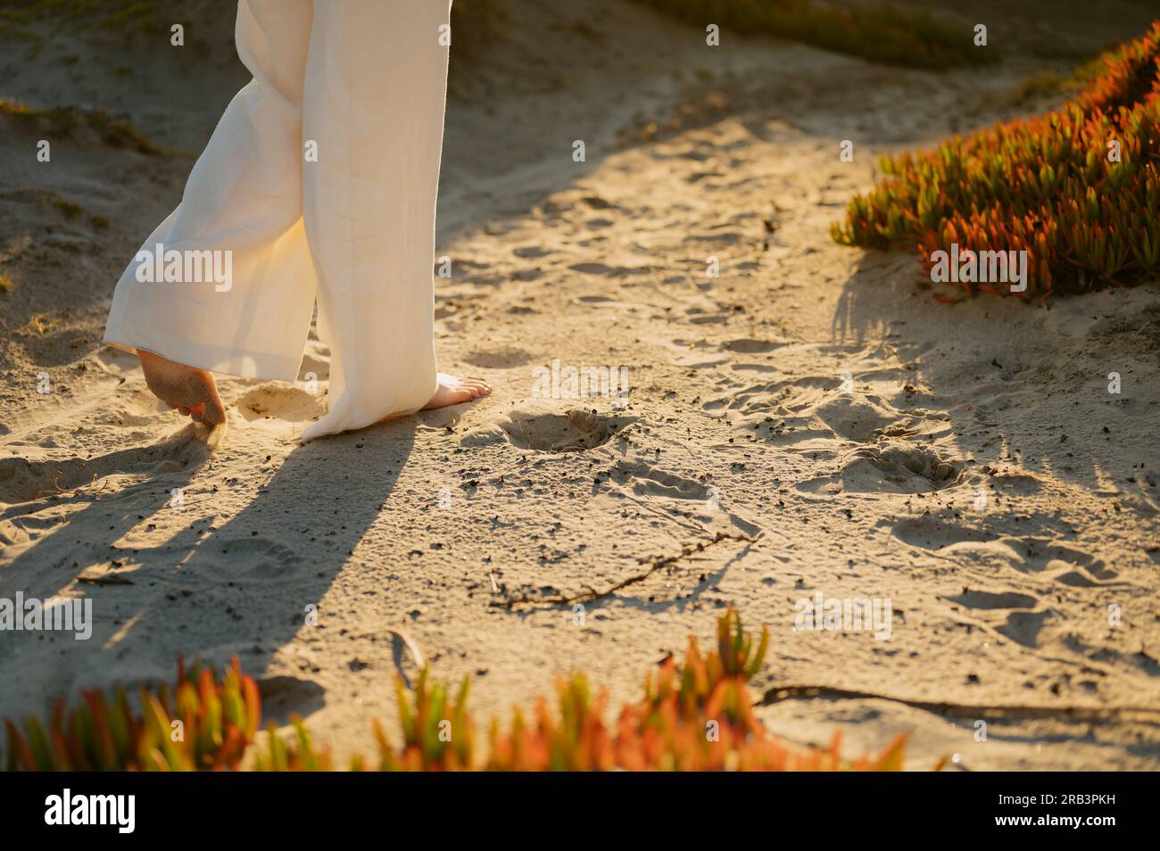 Walking on sand among succulents in Coronado Beach, California Stock Photo