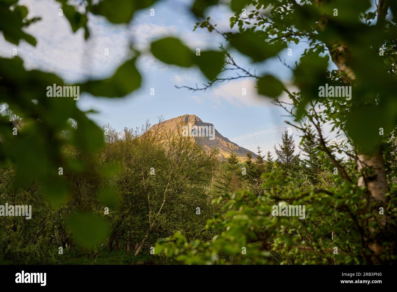View through tree branches of mountain peak Stock Photo