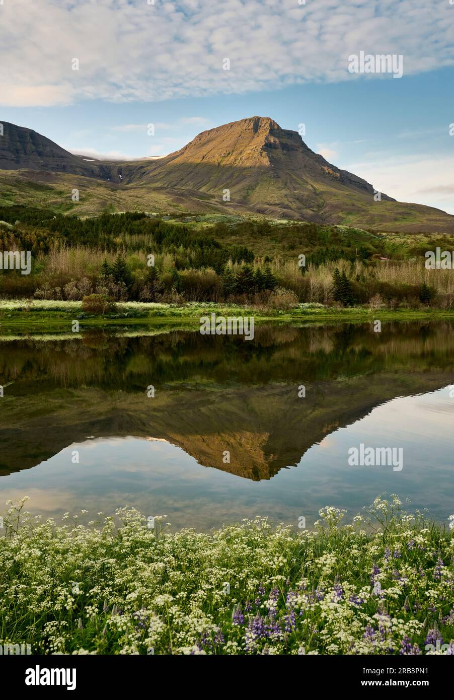Calm lake surrounded by mountains and flowers Stock Photo