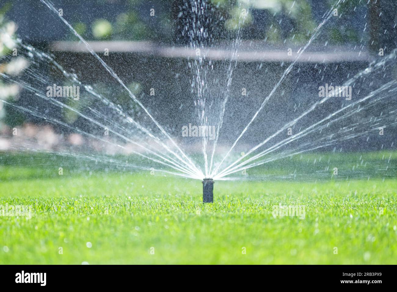Irrigation system in home garden. Automatic lawn sprinkler watering ...