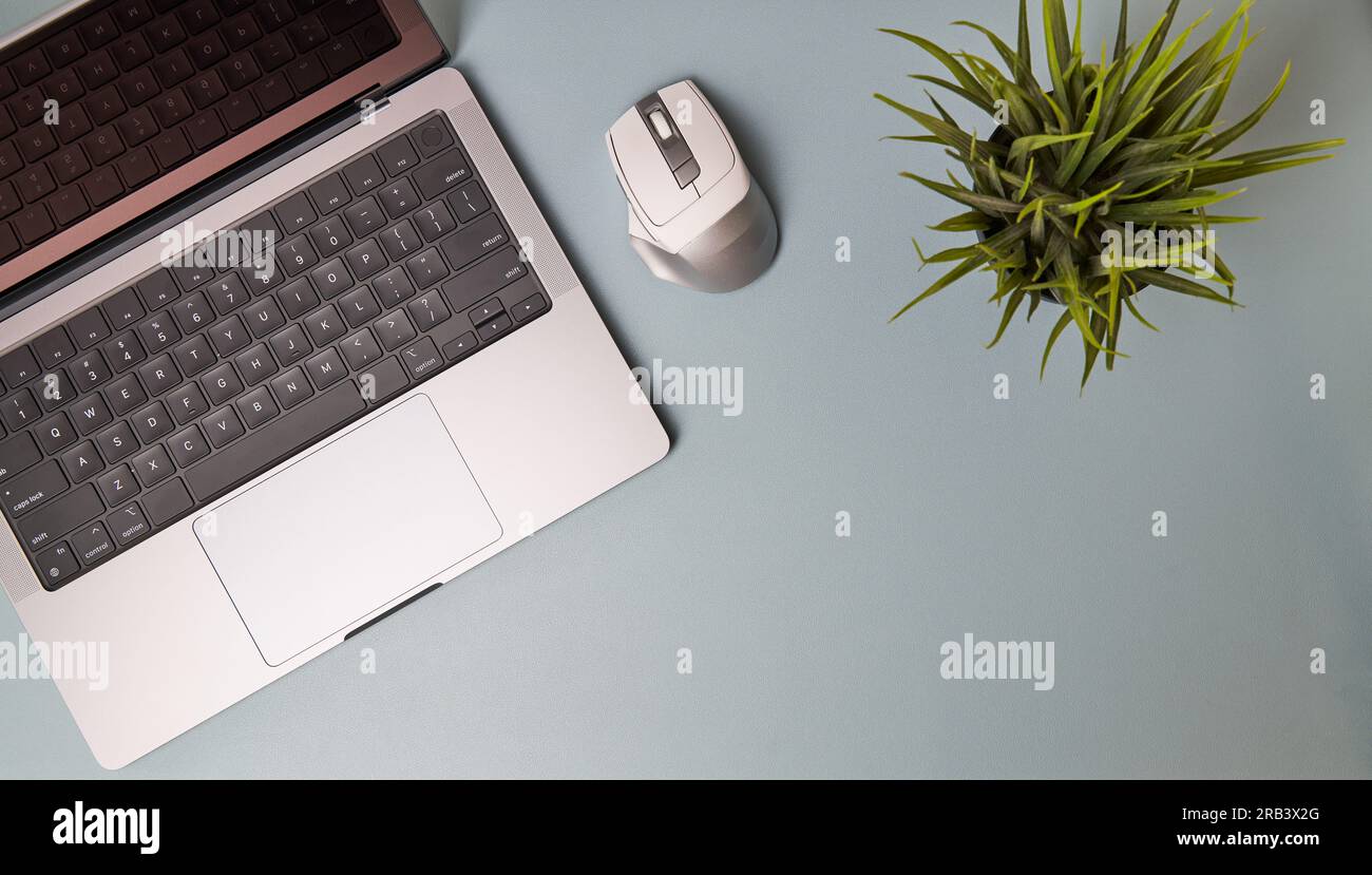 Workspace with laptop, succulent on blue background. Home office. Flat lay, top view Stock Photo