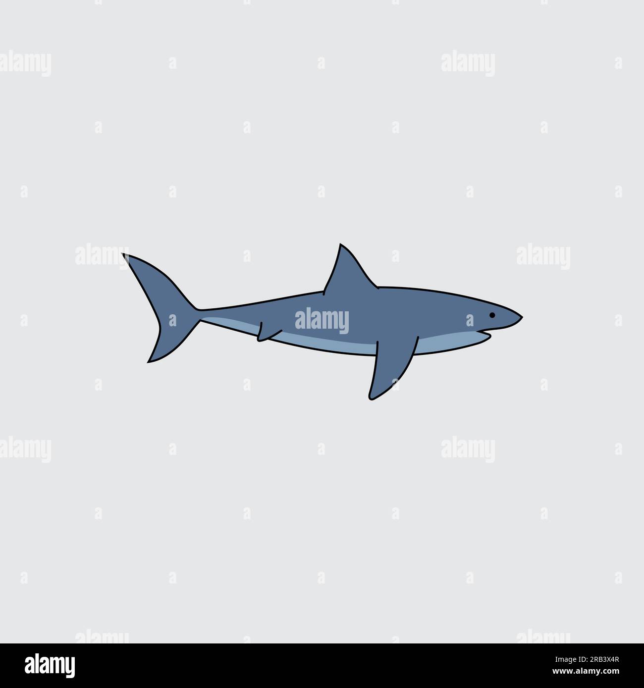 Great White Shark, Side View. - Vector Stock Vector Image & Art - Alamy