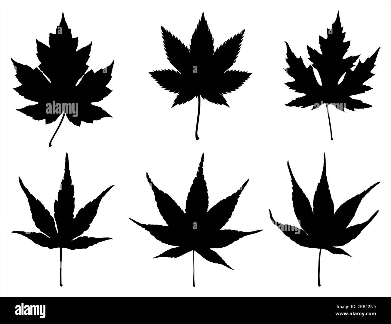 Set of Japanese Maple Leaf Silhouette Stock Vector