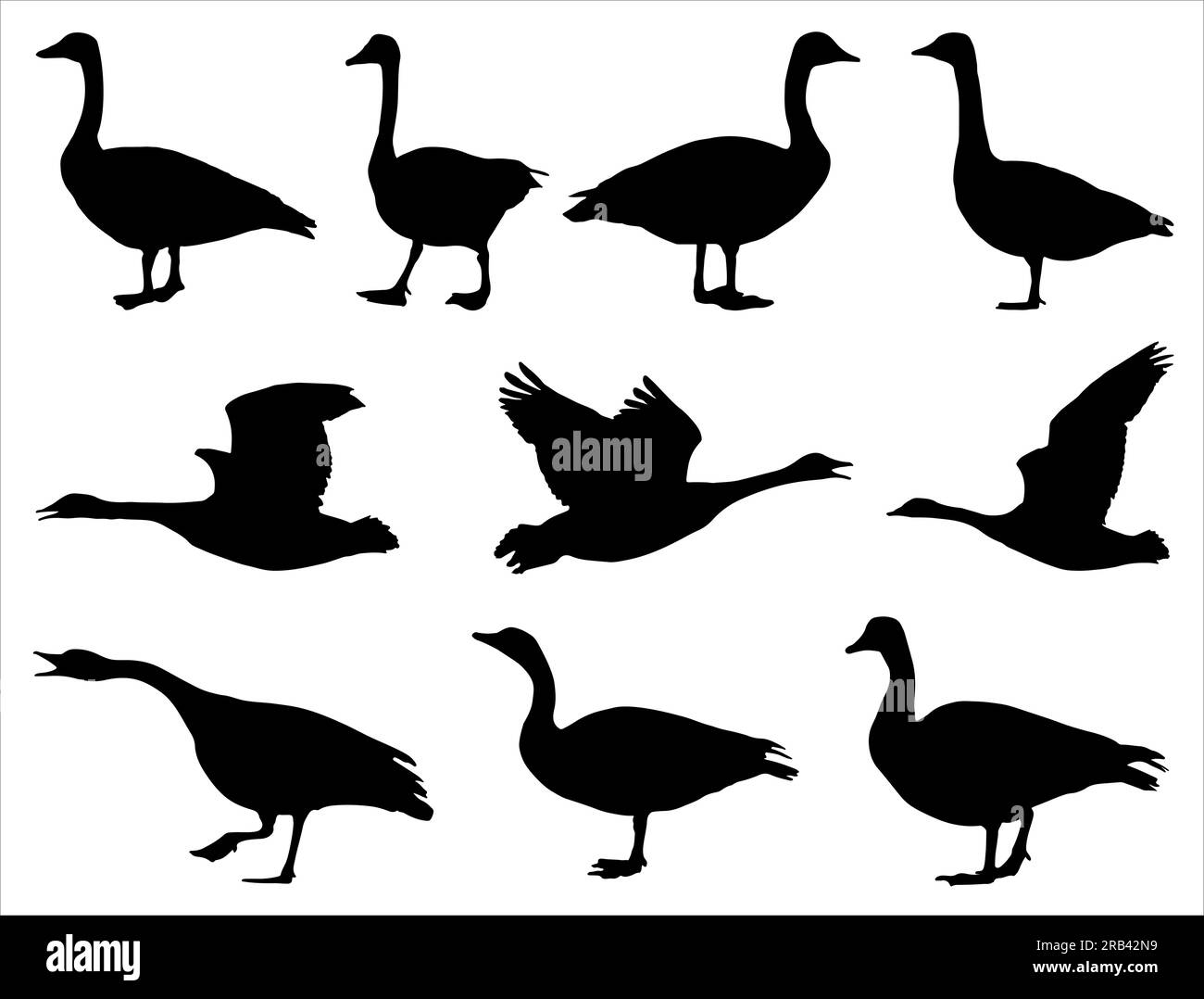 Set of Canada Goose Silhouette Stock Vector