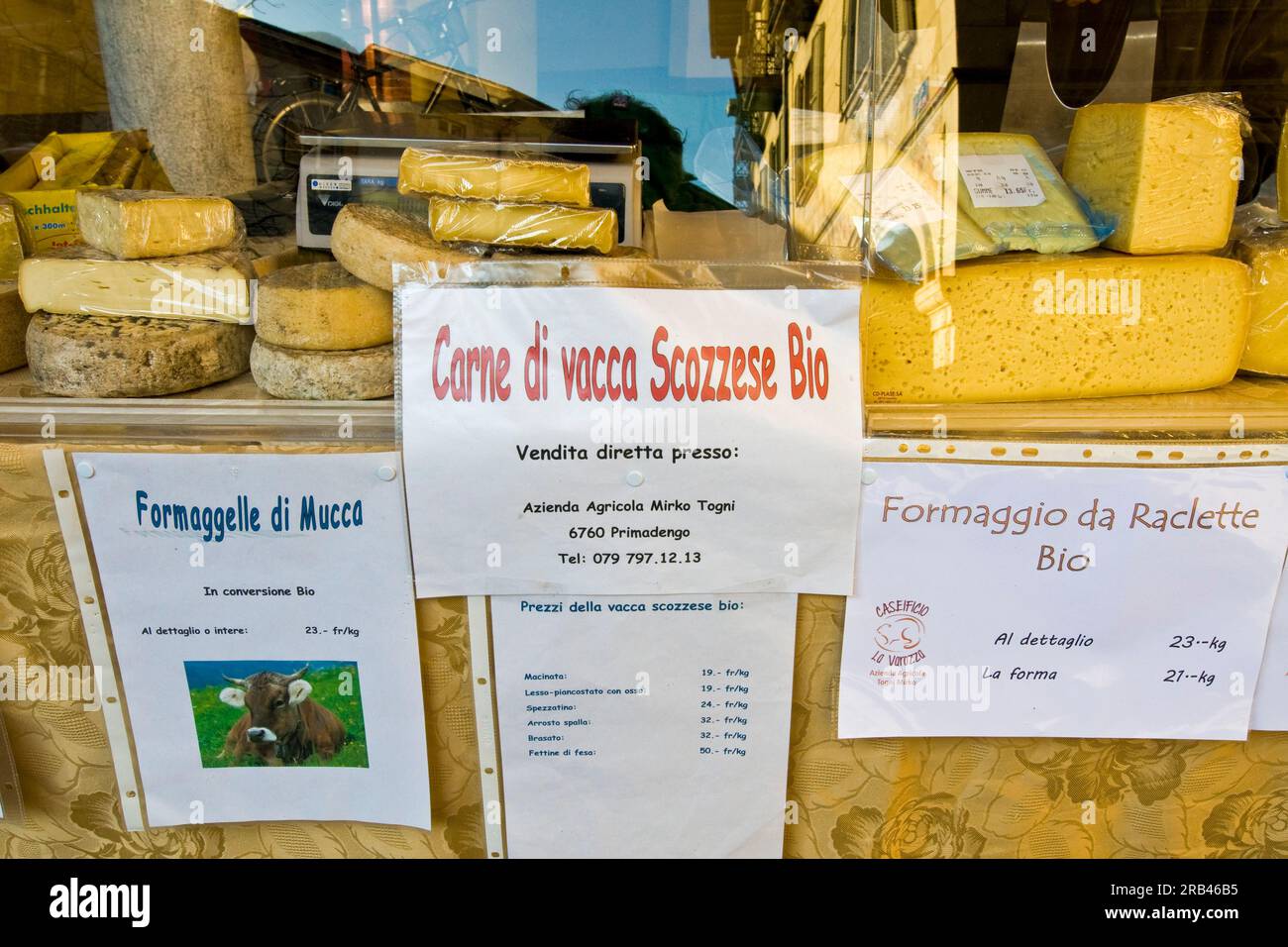 Cheese organic food Stock Photo