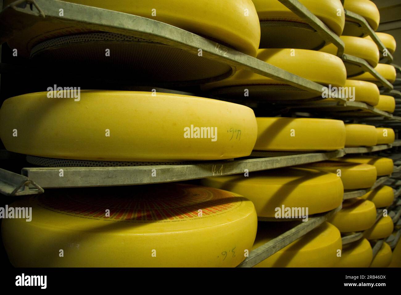 Switzerland, Canton Bern, Affoltern Im Emmental, dairy production of