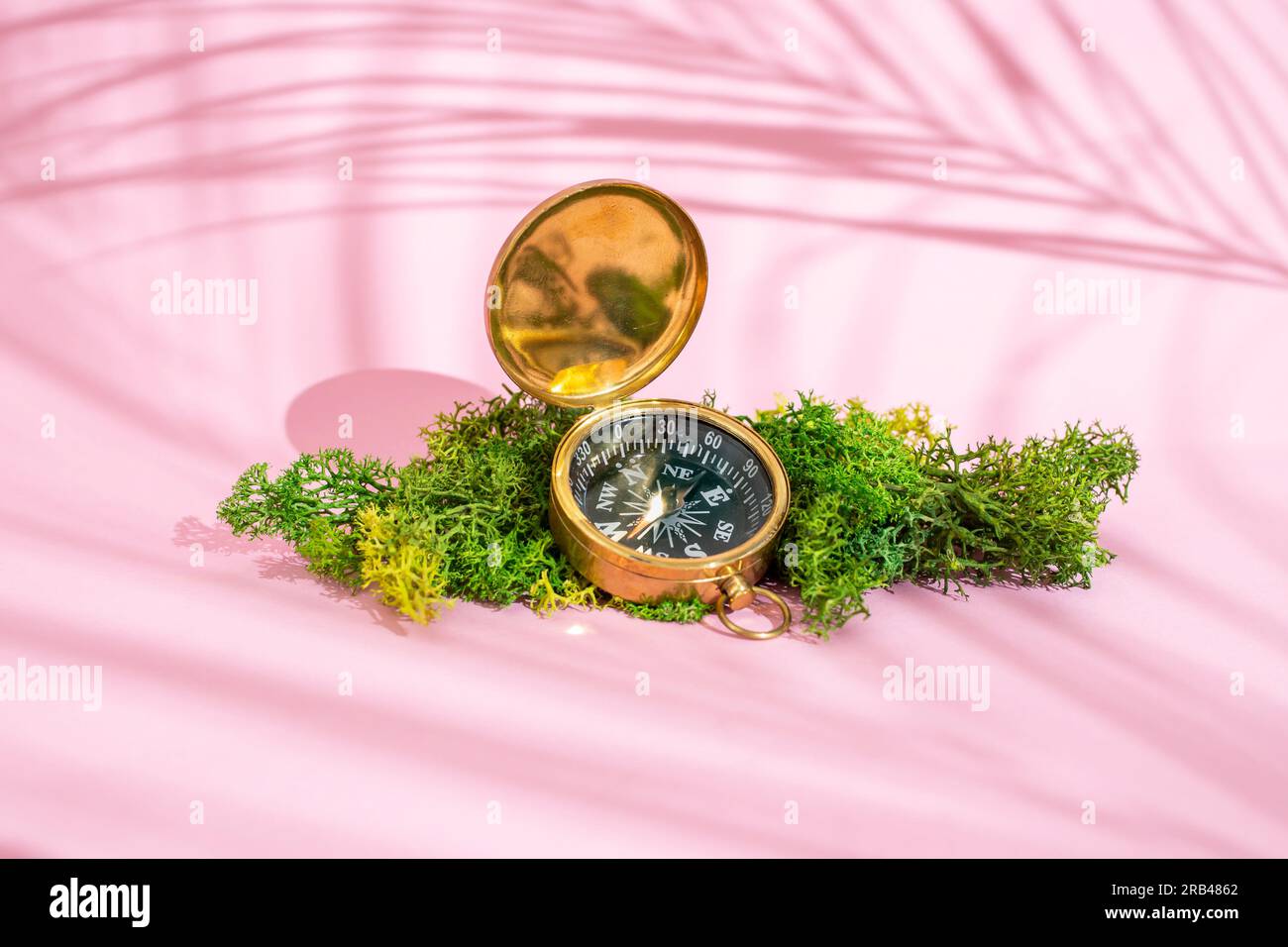 Golden compass on green lichen with pink background and palm leaves shadows, travel concept mockup Stock Photo