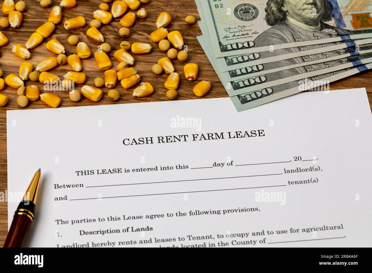 Cash rent farm lease document with corn and soybean seed. Farming, agriculture and tenant farming concept. Stock Photo