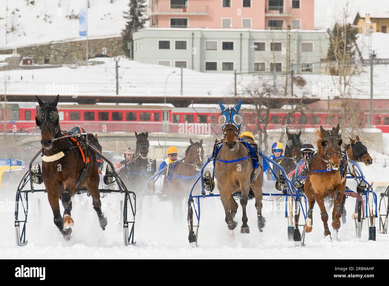 white turf racing st moritz