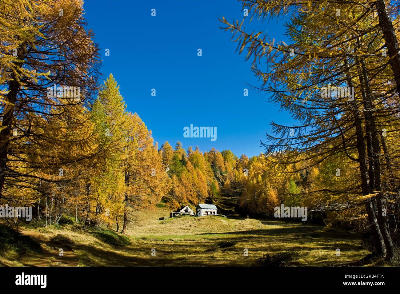 Italy, Piedmont, Devero alp, Alpe Devero Stock Photo - Alamy