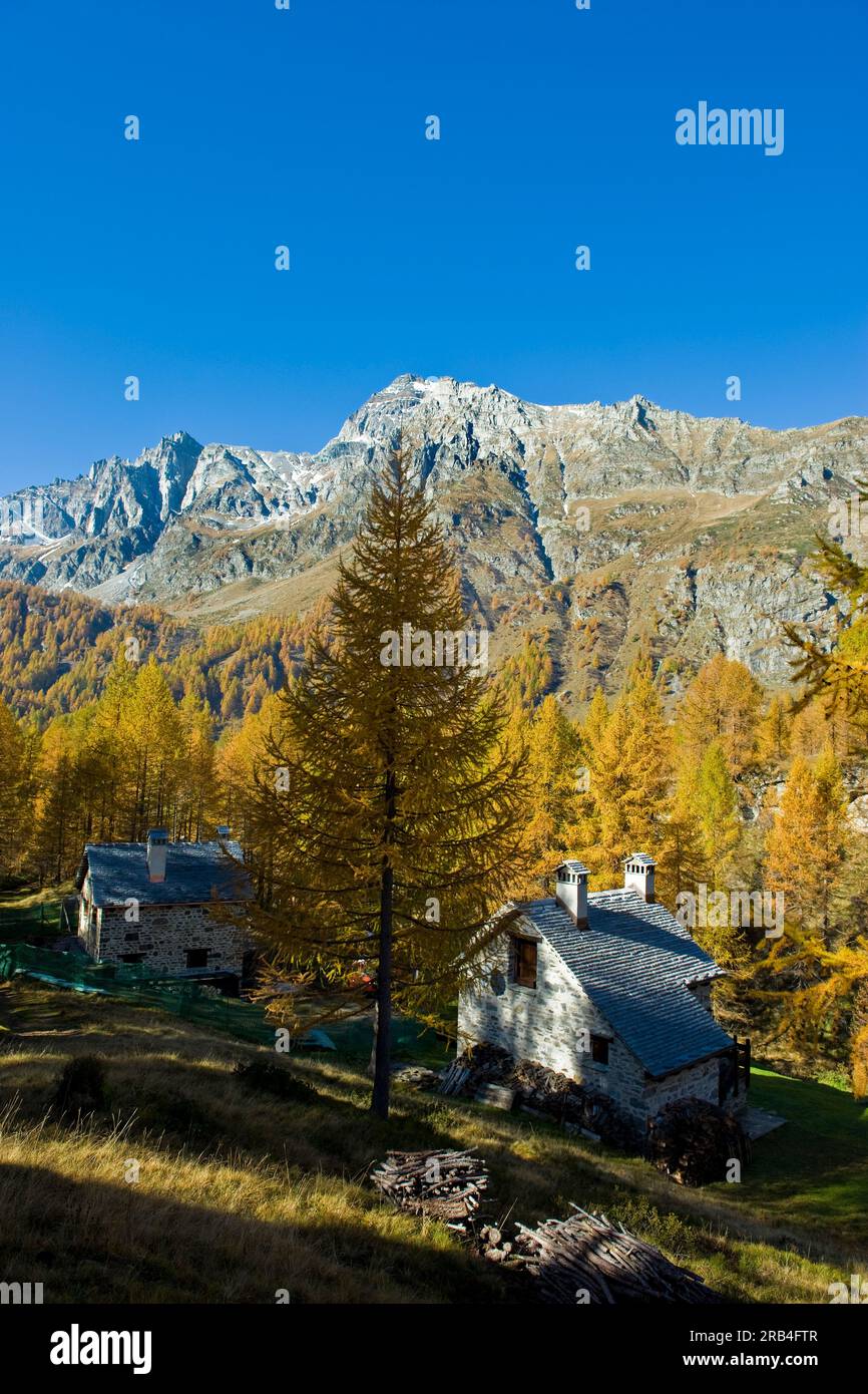 Italy, Piedmont, Devero alp, Alpe Devero Stock Photo - Alamy