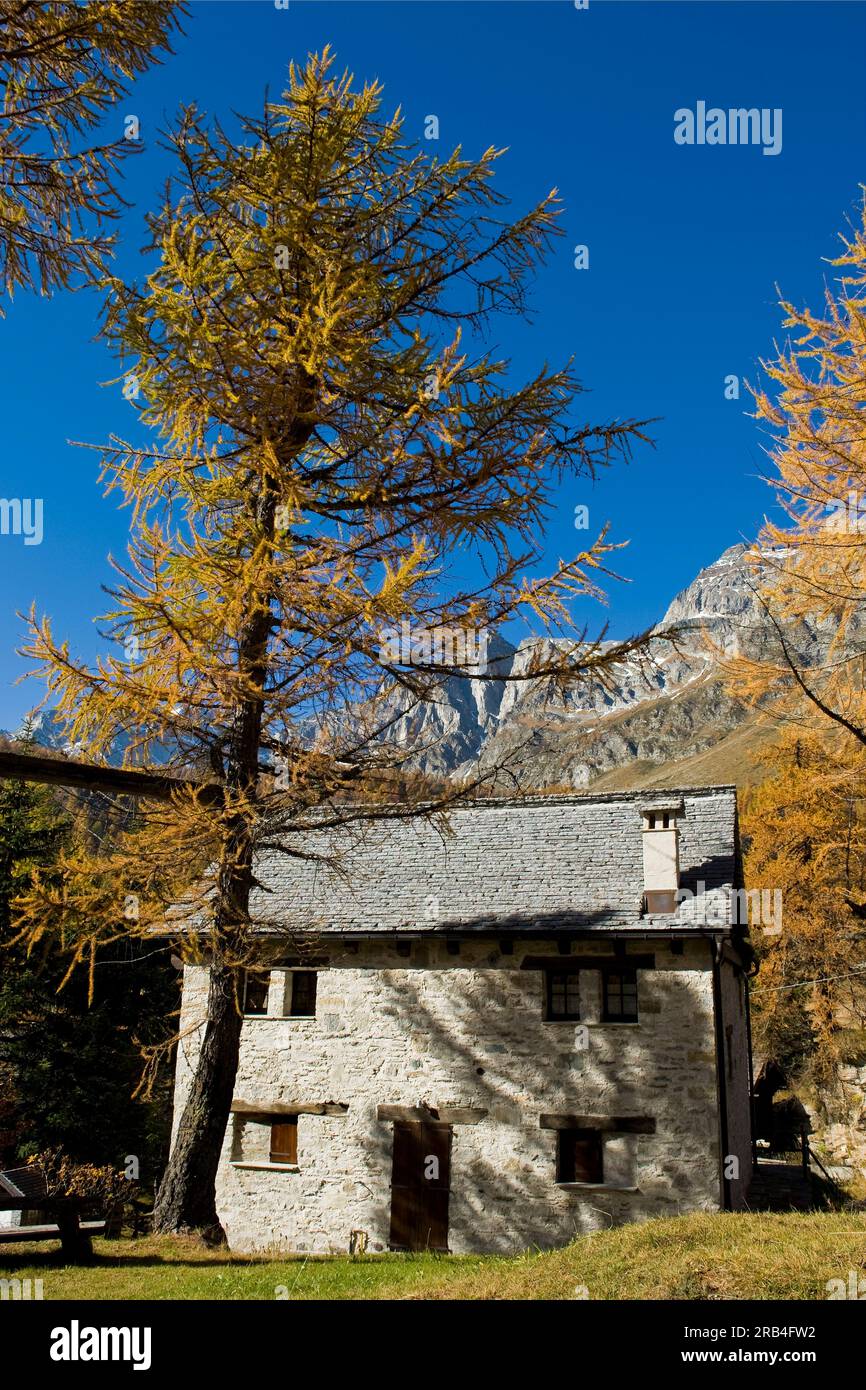 Italy, Piedmont, Devero alp, Alpe Devero Stock Photo - Alamy