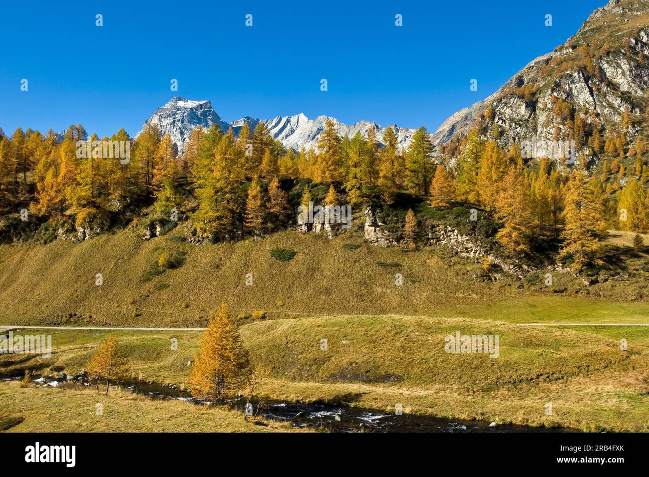 Italy, Piedmont, Devero alp, Alpe Devero Stock Photo - Alamy