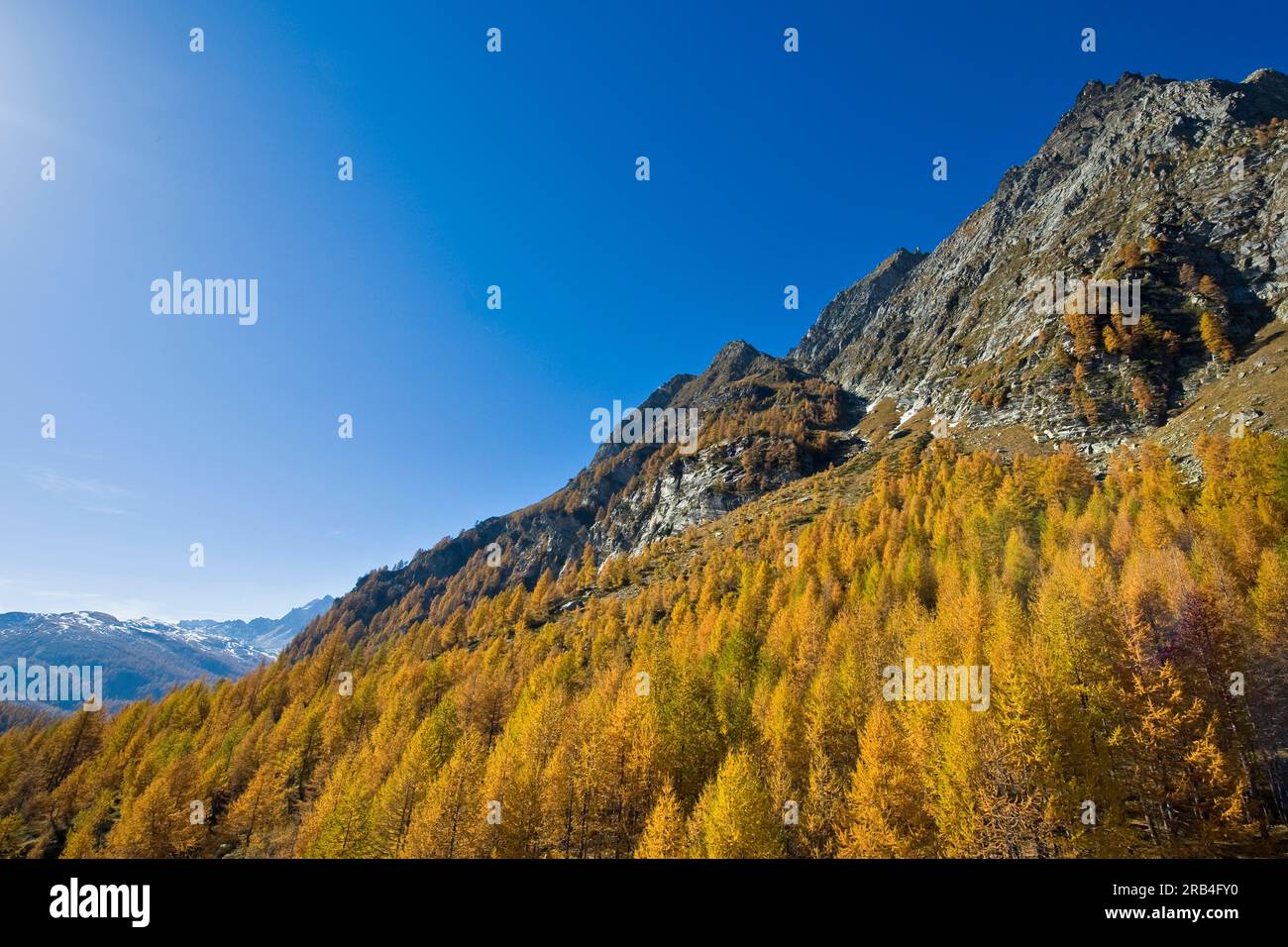 Italy, Piedmont, Devero alp, Alpe Devero Stock Photo - Alamy