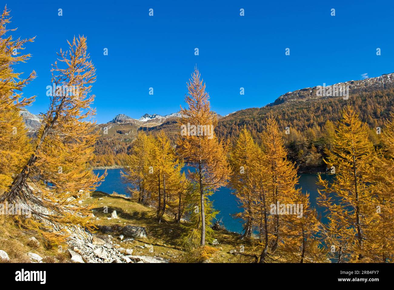 Italy, Piedmont, Devero alp, Alpe Devero, Devero lake Stock Photo - Alamy