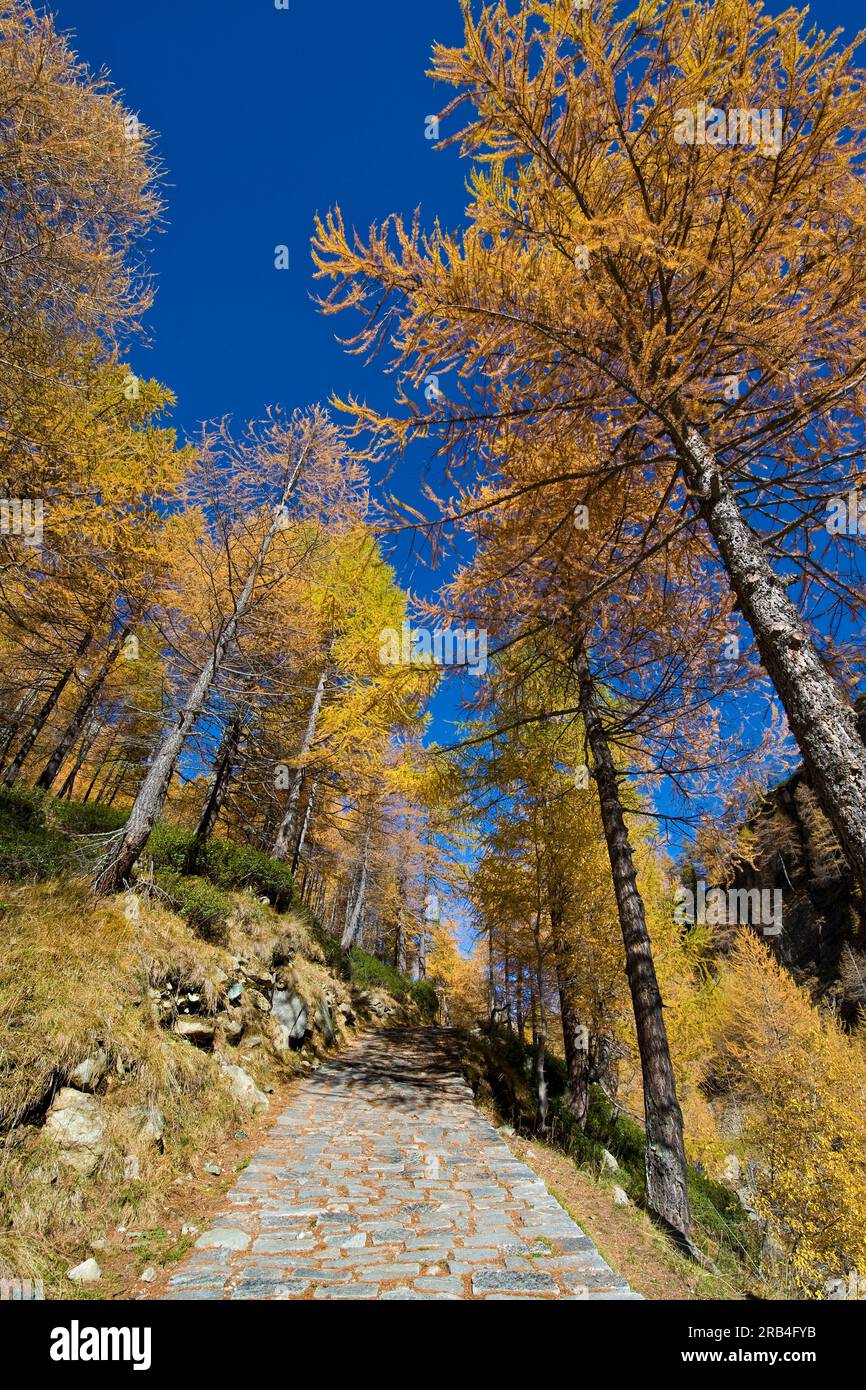 Italy, Piedmont, Devero alp, Alpe Devero Stock Photo - Alamy