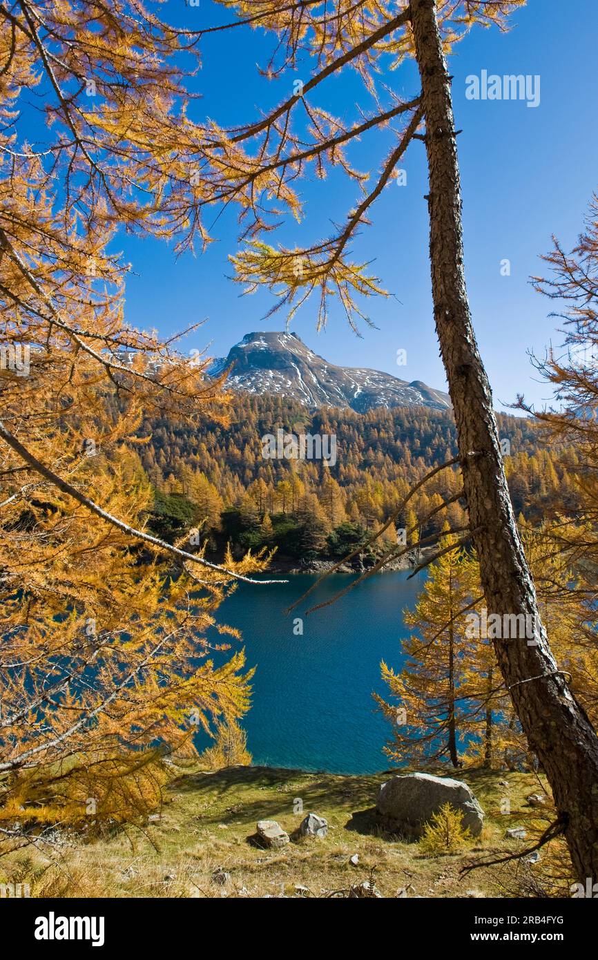 Italy, Piedmont, Devero alp, Alpe Devero, Devero lake Stock Photo - Alamy