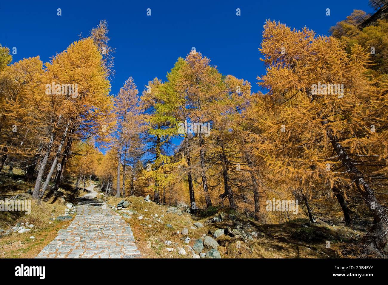 Italy, Piedmont, Devero alp, Alpe Devero Stock Photo - Alamy