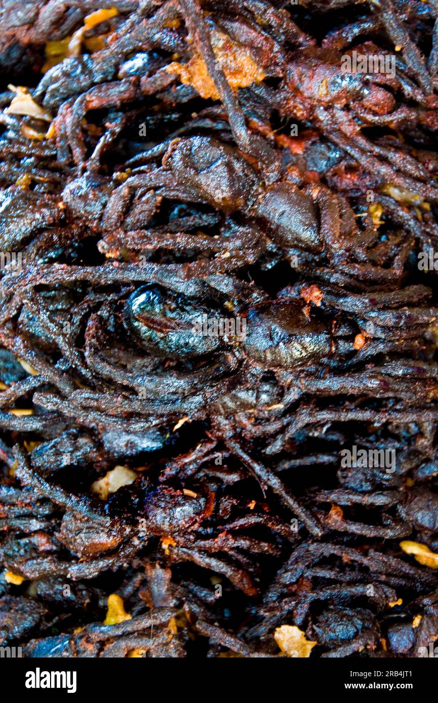 Fried spiders. Skun market. Surrounding of Siem Reap. Cambodia Stock ...
