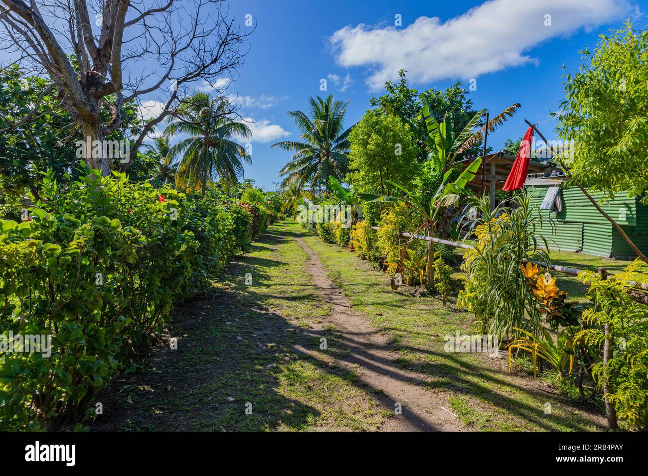 Path in a small village in Viti Levu island, Fiji Stock Photo