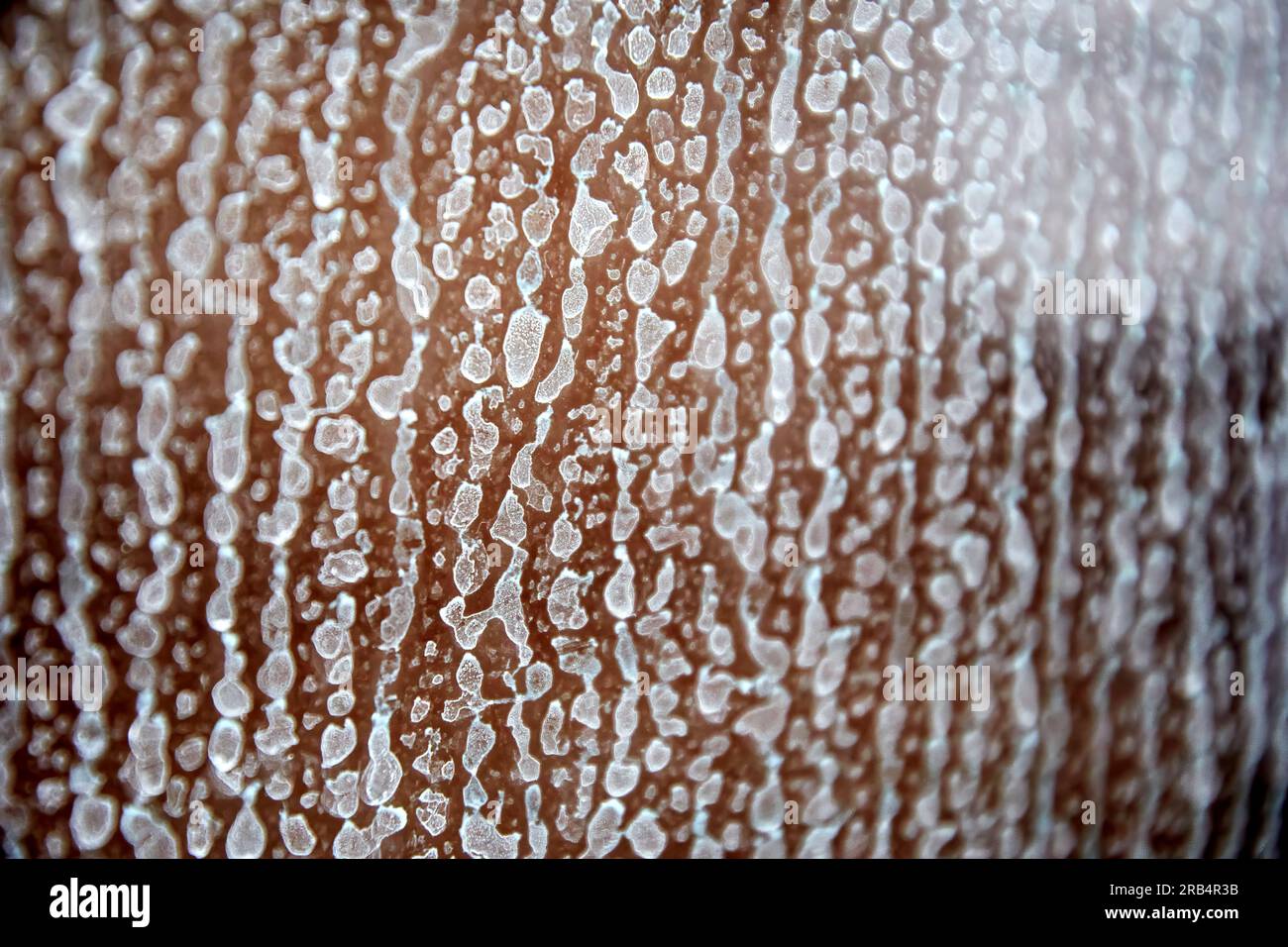 Strong limescale on the glass door in the shower room. Cleaning house