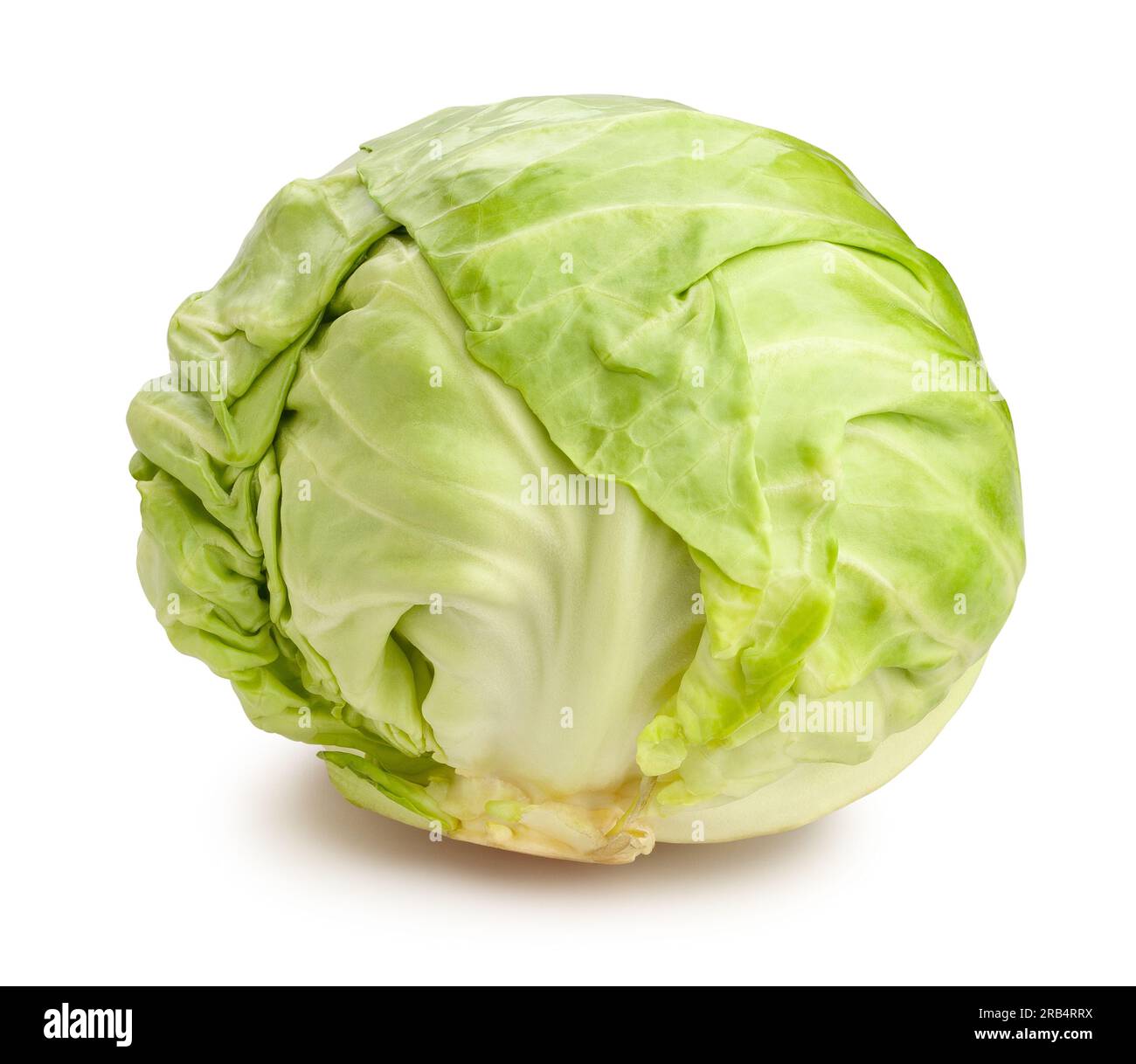 white cabbage path isolated on white Stock Photo