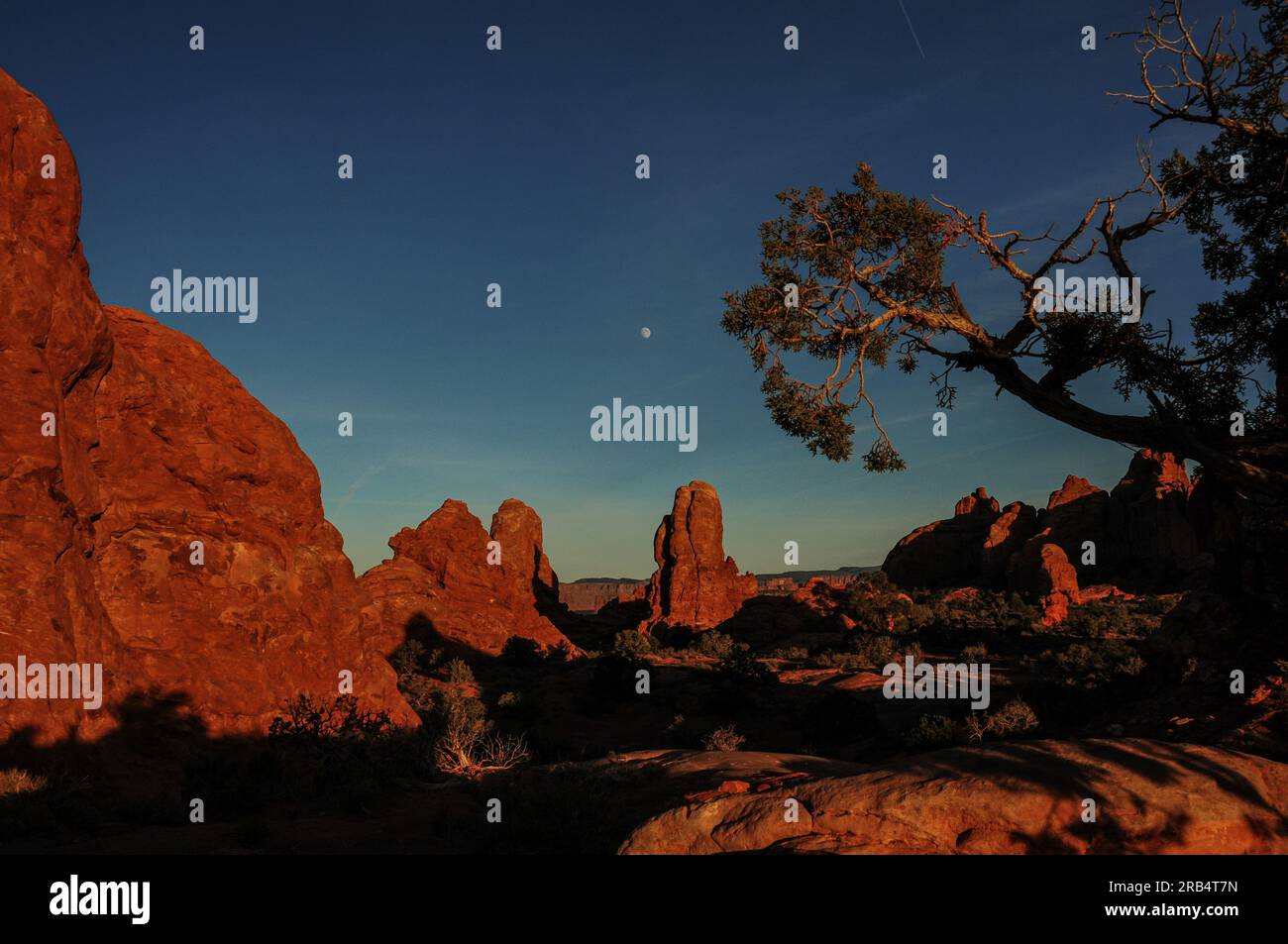 Earth moon formation hi-res stock photography and images - Alamy