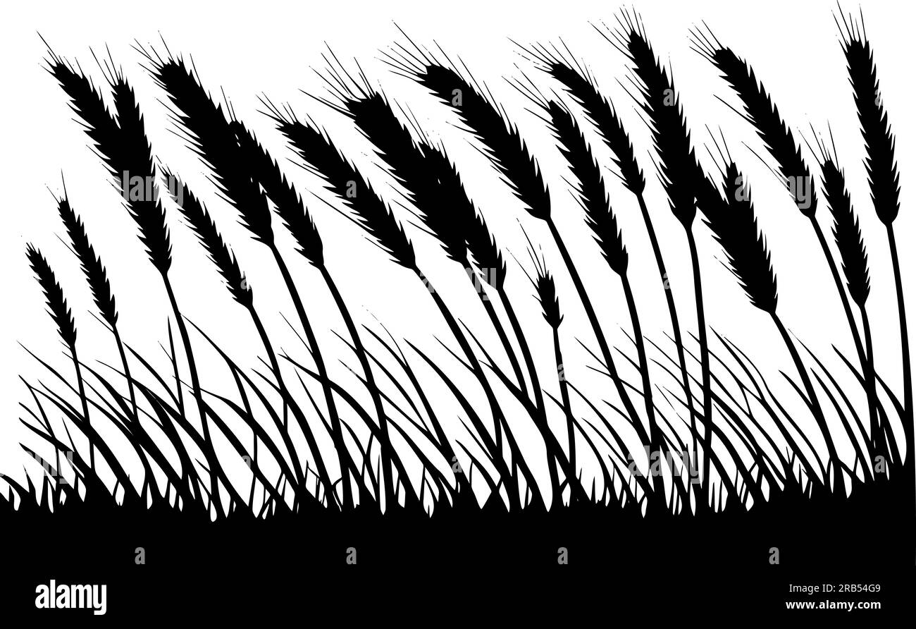 Wheat in the field silhouette. vector illustration Stock Vector