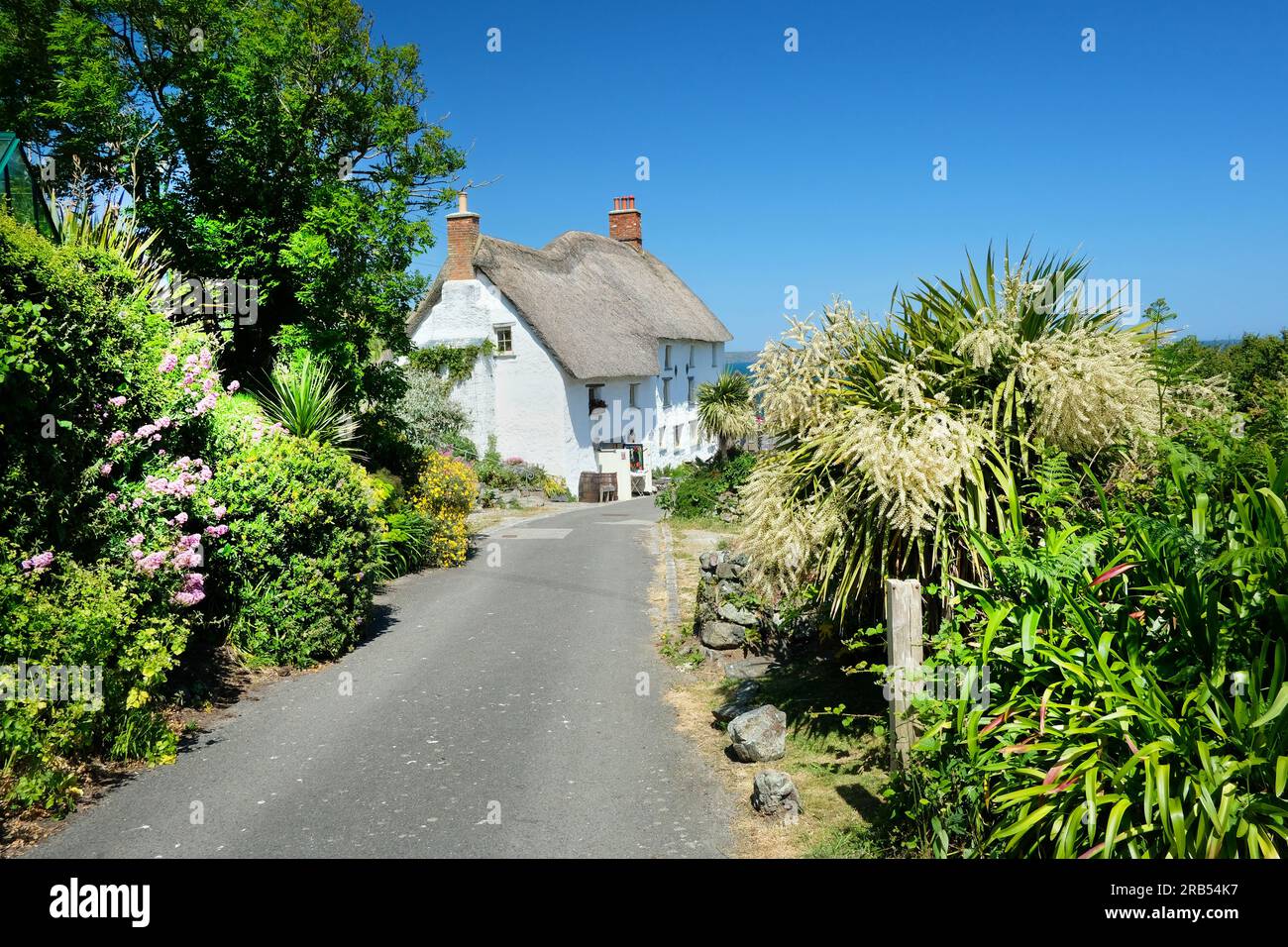 Leafy lane leading to a thatched cottage at Church Cove on the Lizard Peninsula, Cornwall, UK - John Gollop Stock Photo