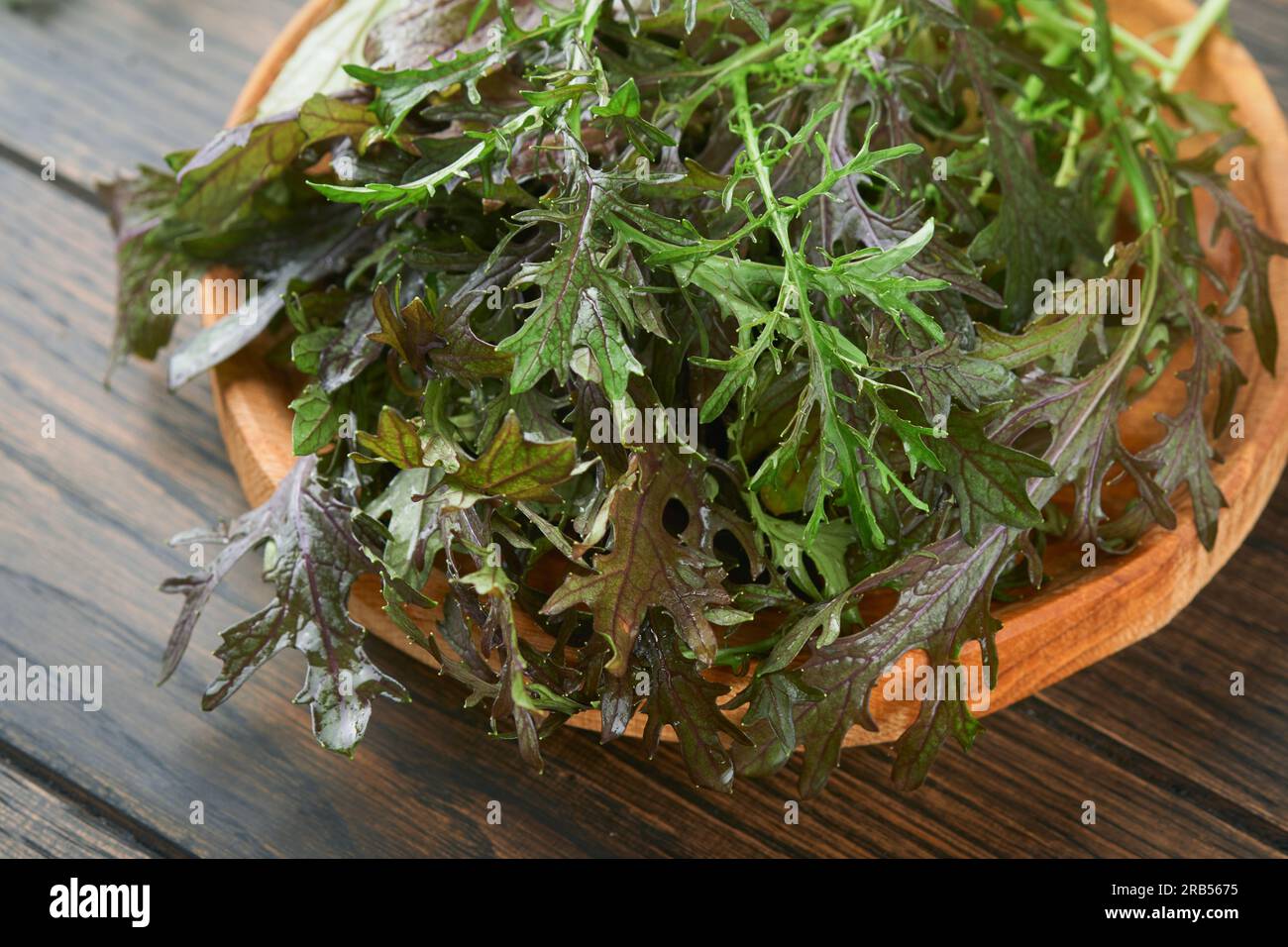 Arugula. Fresh leaves arugula salad on wooden bowl on old wooden table background. Arugula is source of vitamins and trace elements necessary for heal Stock Photo
