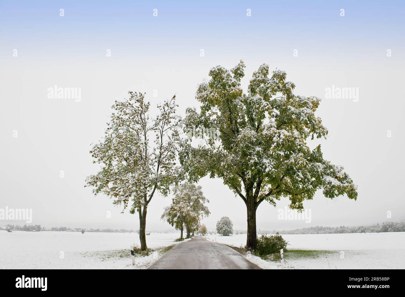 Fussen. Bavaria. Germany Stock Photo